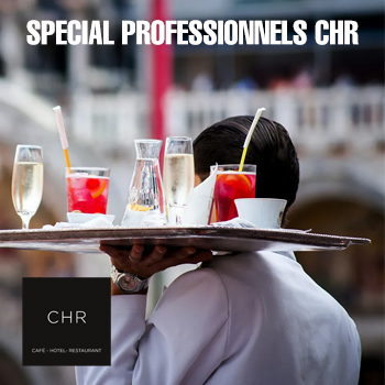 Pergolas à toiture bioclimatiques pour terrasse de restaurants et d'hôtels en Alsace vendus par Art Pergolas Sélestat